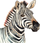 Djur/zebra
